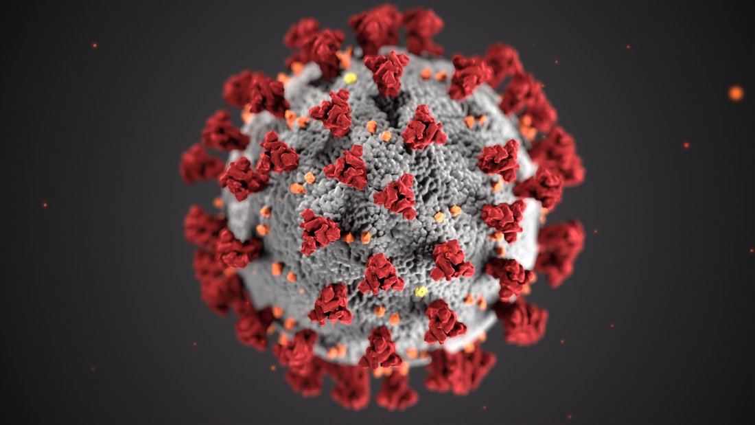 Viruszelle mikroskopisch vergrößert